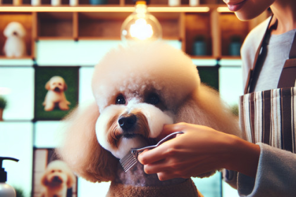 An image illustrating Cuánto cuesta una peluquería canina para Poodles en Chile