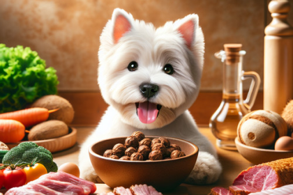 An image illustrating Cómo preparar una dieta BARF segura para Westies