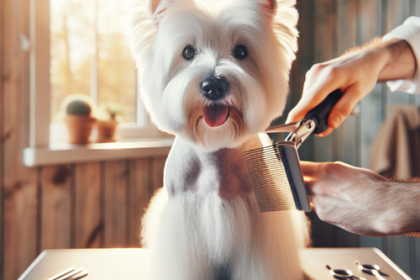 An image illustrating Cómo hacer un stripping casero para Westies