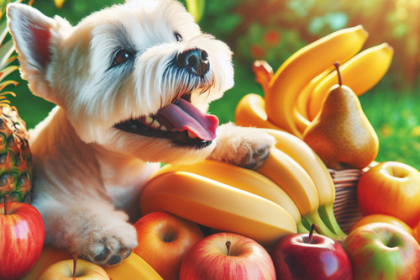 An image illustrating Qué frutas puede comer un Westie sin riesgo