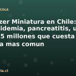Schnauzer Miniatura en Chile: hiperlipidemia, pancreatitis, urolitos y los $15 millones que cuesta la raza pequena mas comun