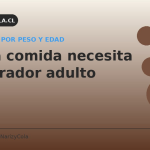 Cuánta comida necesita un Labrador adulto: tabla por peso y edad