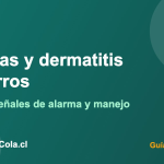 Perro rascándose por dermatitis alérgica, guía de cuidado de la piel en Chile