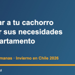 Cachorro aprendiendo a hacer sus necesidades sobre empapador en un departamento en invierno