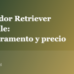 Labrador Retriever en Chile: temperamento y precio 2026