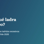 Perro ladrando en un departamento, guía sobre ladridos excesivos en Chile