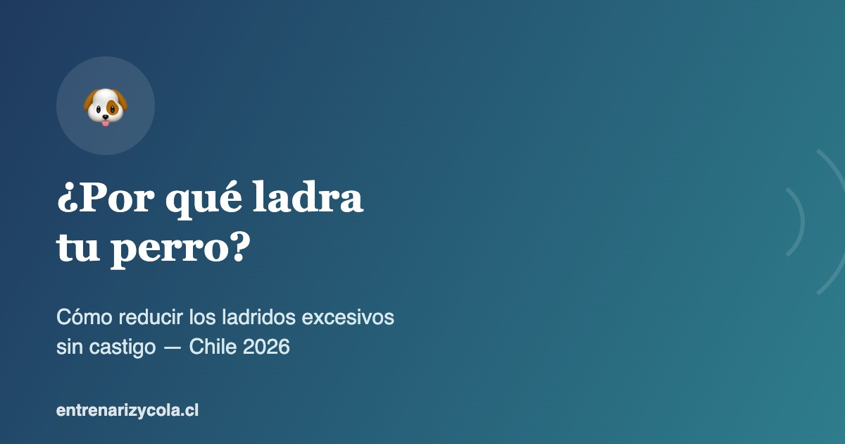 Perro ladrando en un departamento, guía sobre ladridos excesivos en Chile