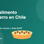 Plato de alimento seco para perro con texto Mejor alimento para perro en Chile 2026