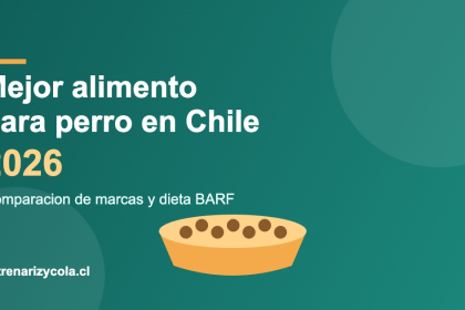 Plato de alimento seco para perro con texto Mejor alimento para perro en Chile 2026
