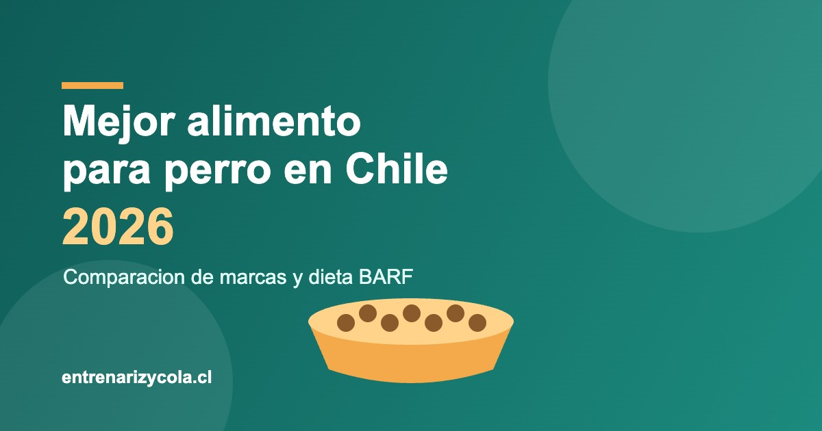 Plato de alimento seco para perro con texto Mejor alimento para perro en Chile 2026