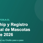 Microchip y Registro Nacional de Mascotas en Chile, Ley Cholito