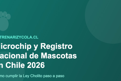 Microchip y Registro Nacional de Mascotas en Chile, Ley Cholito