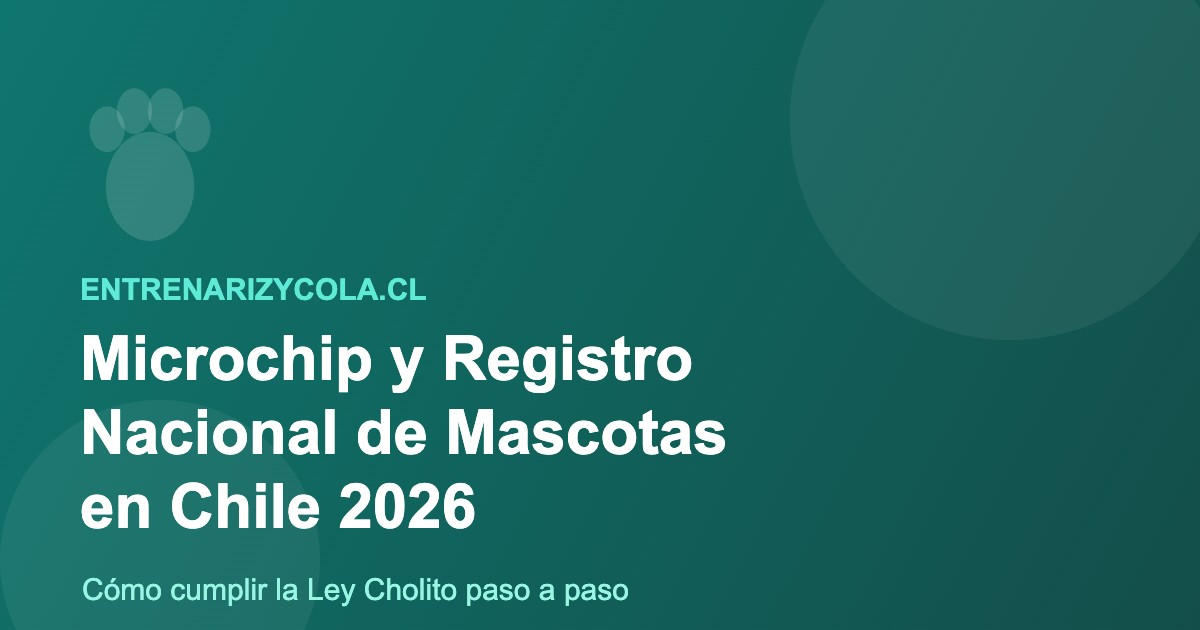 Microchip y Registro Nacional de Mascotas en Chile, Ley Cholito