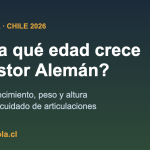 Pastor Alemán cachorro creciendo, etapas de crecimiento en Chile