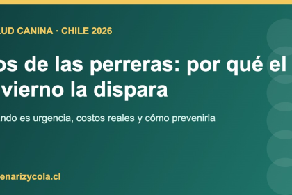 Perro tosiendo en invierno en Chile, ilustración sobre tos de las perreras