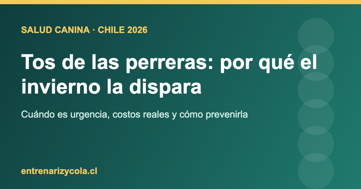 Perro tosiendo en invierno en Chile, ilustración sobre tos de las perreras