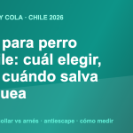 Ilustración con el título de la guía de arnés para perro en Chile 2026