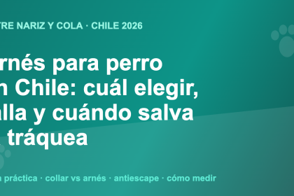 Ilustración con el título de la guía de arnés para perro en Chile 2026