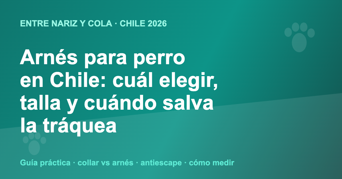 Ilustración con el título de la guía de arnés para perro en Chile 2026