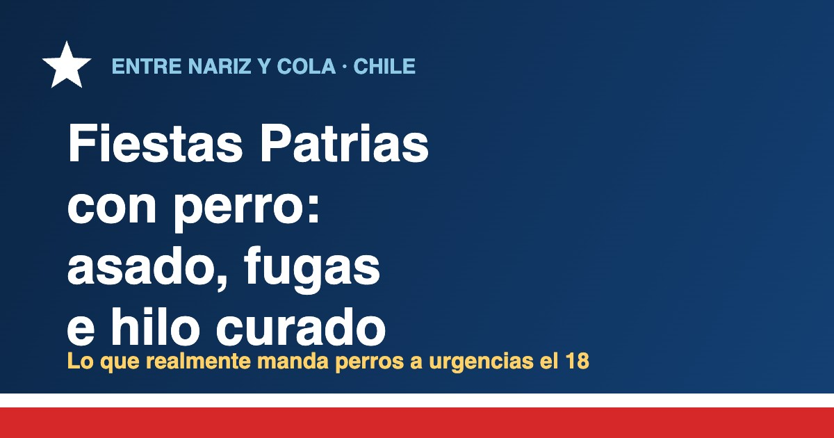 Perro en Chile durante Fiestas Patrias: riesgos del asado, fugas por el porton e hilo curado