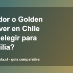 Comparativa Labrador Retriever y Golden Retriever en Chile