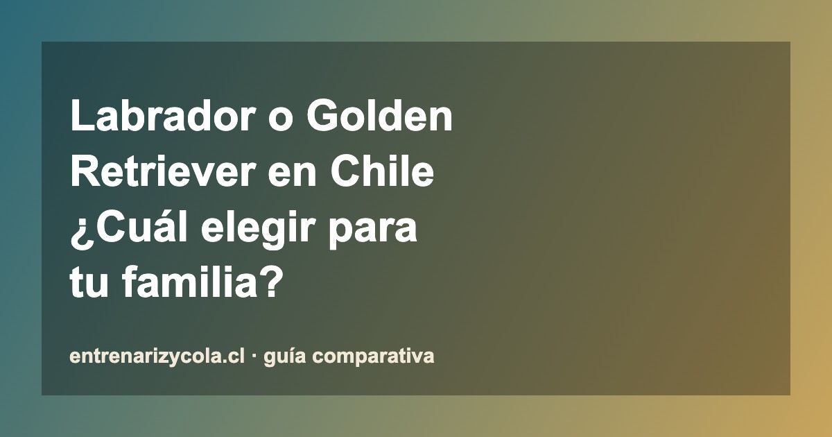 Comparativa Labrador Retriever y Golden Retriever en Chile