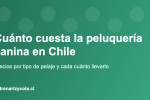 Precios de peluquería canina en Chile según el tipo de pelaje del perro
