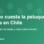 Precios de peluquería canina en Chile según el tipo de pelaje del perro