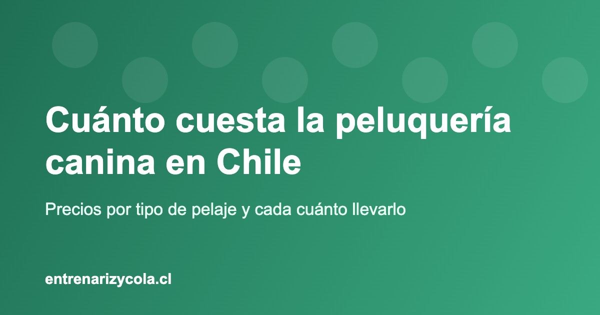 Precios de peluquería canina en Chile según el tipo de pelaje del perro