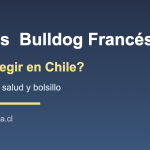Comparación entre Pug y Bulldog Francés en Chile