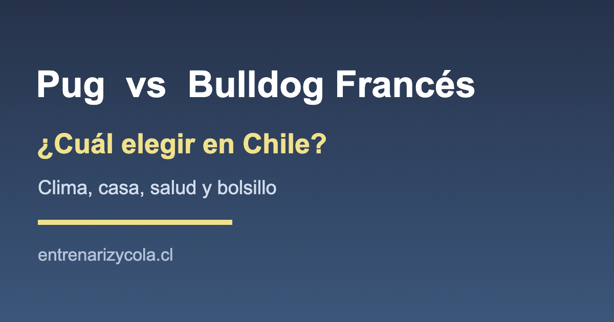 Comparación entre Pug y Bulldog Francés en Chile